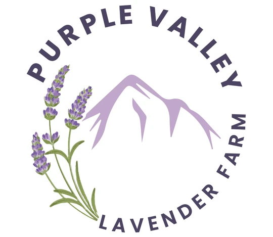 Purple Valley Lavender Farm