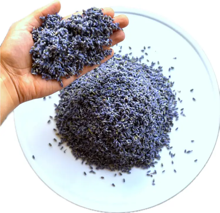 4-step Ultra-Clean whole dried lavender buds held over a white plate